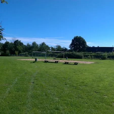 Regenbogen - Holli - #69149 *