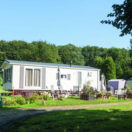 Regenbogen - Holli - #69149