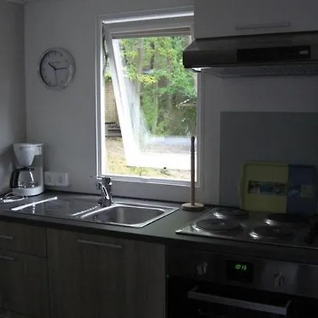 Regenbogen - Holli - #69149