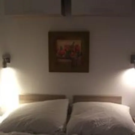 Regenbogen - Holli - #69149