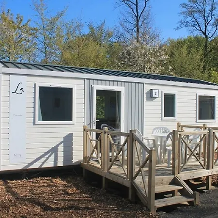 Regenbogen - Holli - #69149