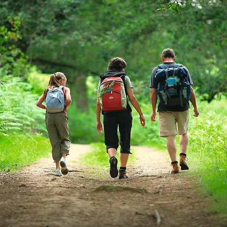 Regenbogen - Holli - #69149 펜션 *