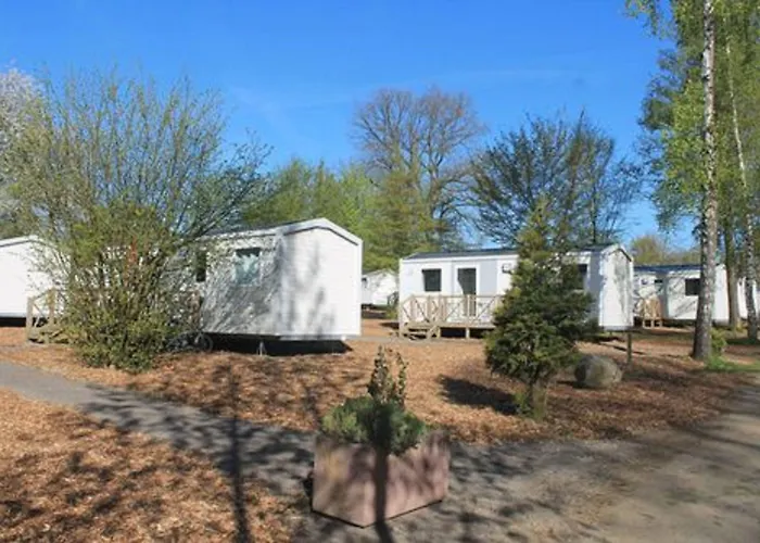 Feriehus Regenbogen - Holli - #69149