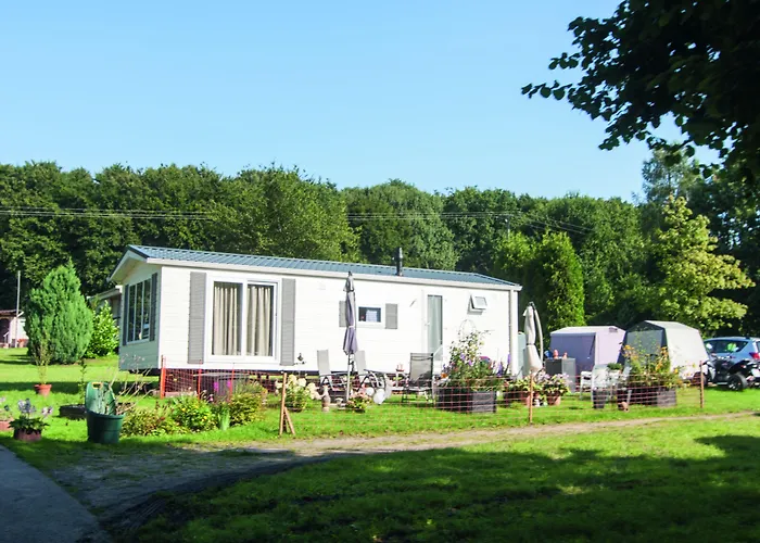 Regenbogen - Holli - #69149