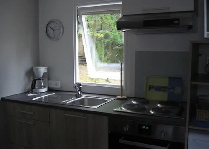 Regenbogen - Holli - #69149