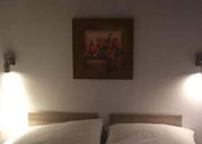 Regenbogen - Holli - #69149