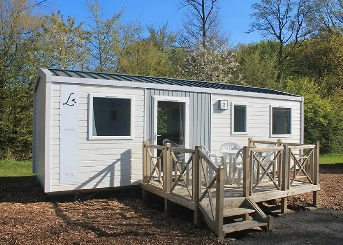 Regenbogen - Holli - #69149