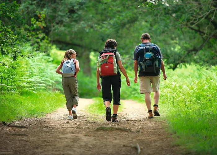 Regenbogen - Holli - #69149 Feriehus *